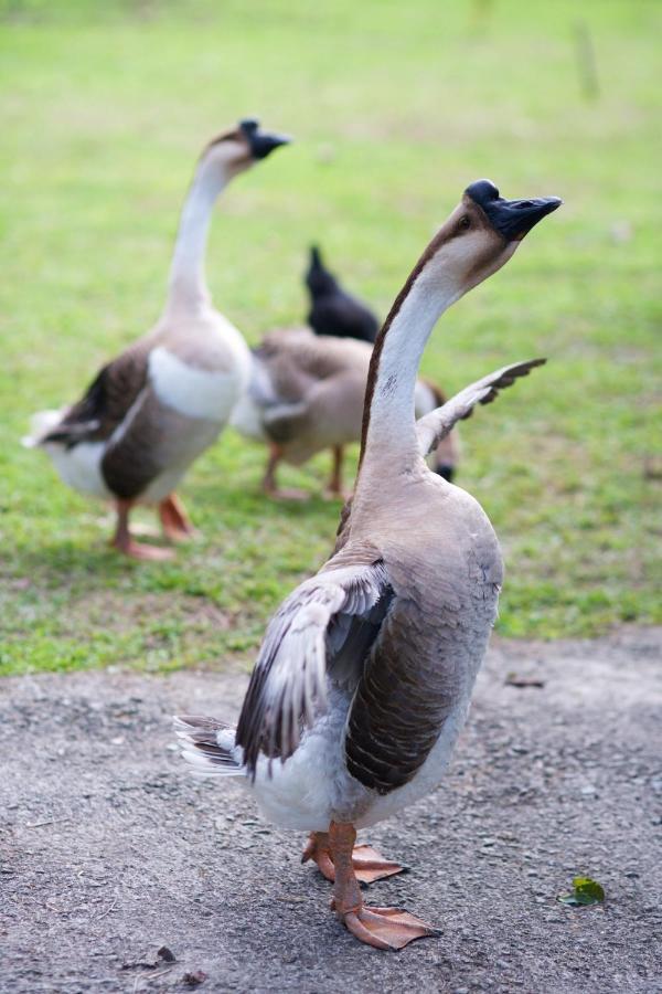 Meihua Lake Leisure Farm Донгшан Екстериор снимка