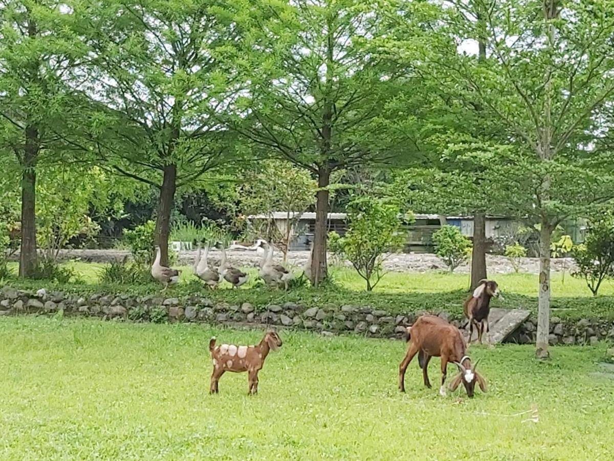 Meihua Lake Leisure Farm Донгшан Екстериор снимка